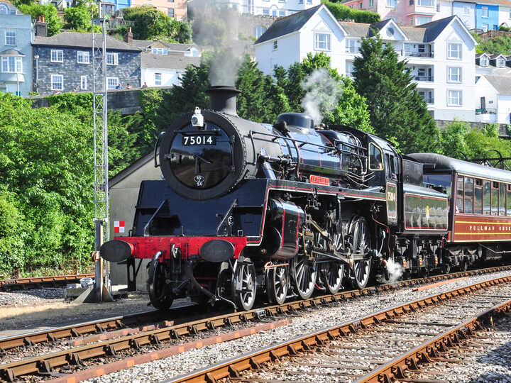 south devon railway