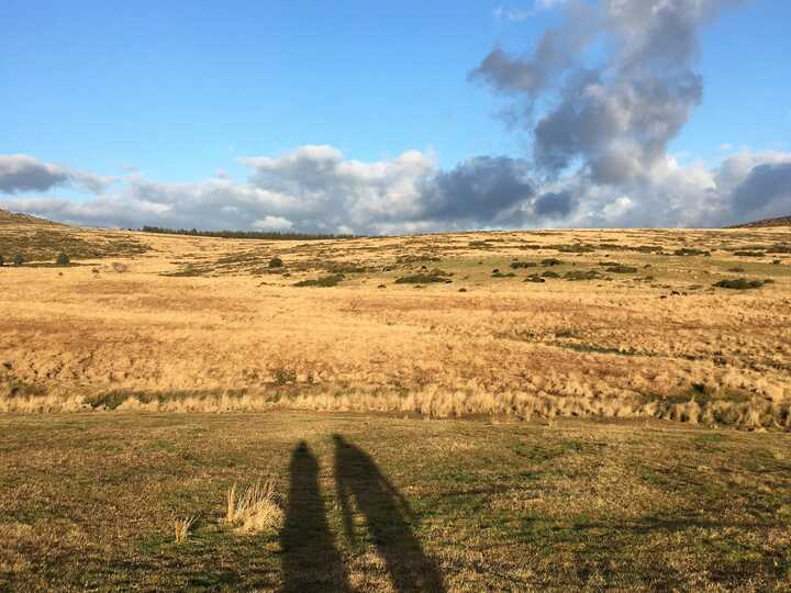 the shadow of a couple walking on Dartmoor